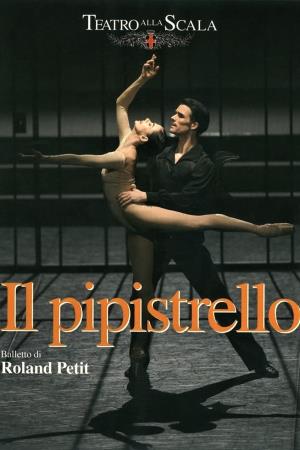 Il Pipistrello's Poster
