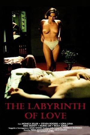 Labirinto dei sensi's Poster