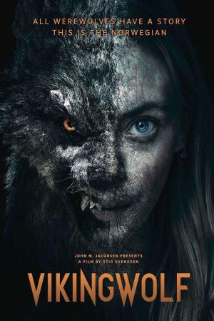 Viking's Poster