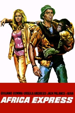 Africa Express's Poster