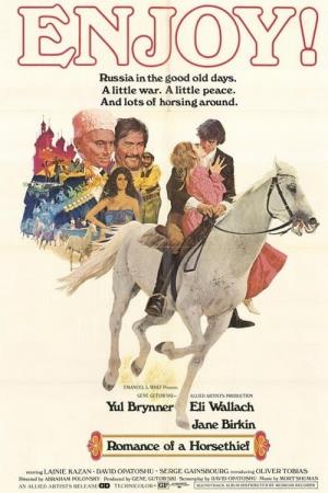 Il romanzo di un ladro di cavalli's Poster