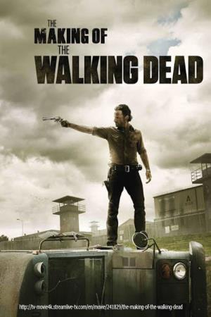 The Walking Dead's Poster