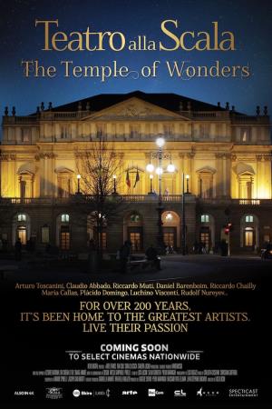 Il tempio delle meraviglie's Poster