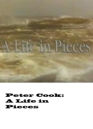 Life In Pieces's Poster