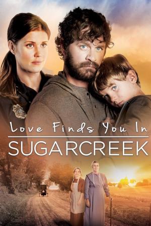 Innamorarsi a Sugarcreek's Poster