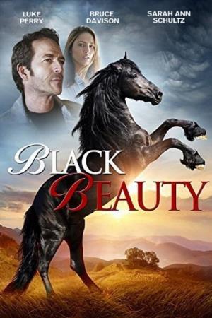 Black Beauty - Una storia di coraggio's Poster