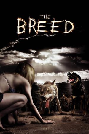 The breed - La razza del male's Poster