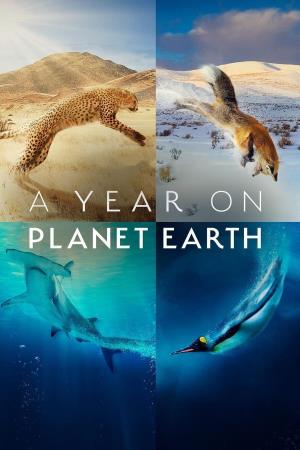 A Year on Planet Earth's Poster