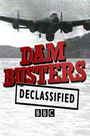 Dam Busters Declassified's Poster