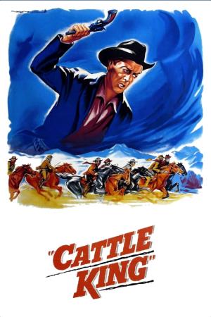 Il vendicatore del Texas's Poster