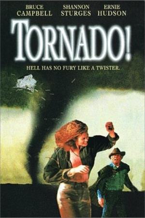Tornado's Poster