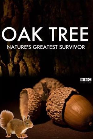 Oak Tree: Nature's Greatest Survivor's Poster