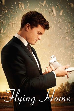 Cuori in volo's Poster