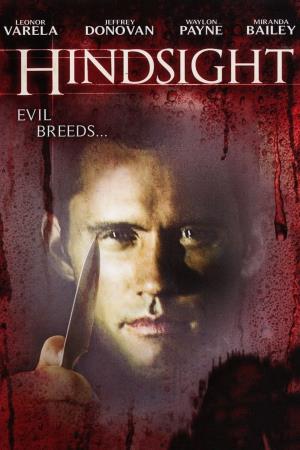 Hindsight's Poster