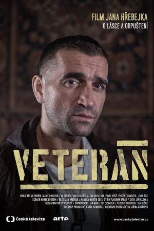 Veteran's Poster