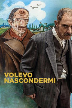 Volevo nascondermi's Poster