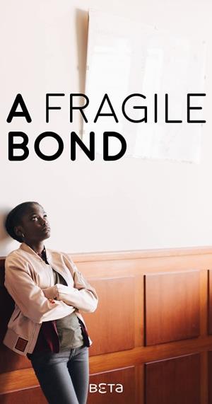 Un fragile legame's Poster