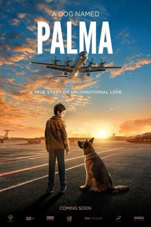 Palma un amore di cane's Poster