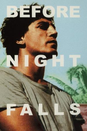 Prima che sia notte's Poster
