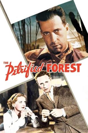 La foresta pietrificata's Poster