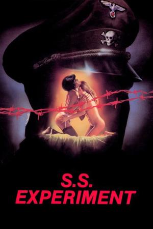 The Love Experiment's Poster