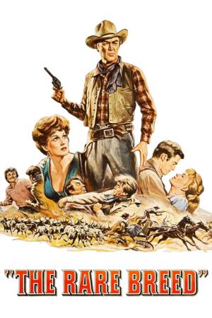 Rancho Bravo's Poster