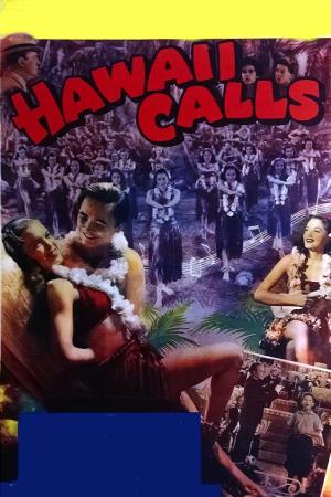 Sotto il cielo delle Hawaii's Poster