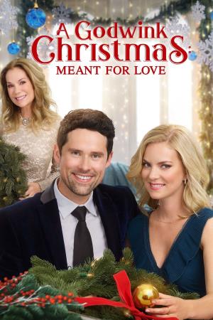 A Christmas Coincidence's Poster