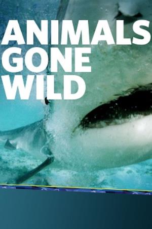 Animals Gone Wild's Poster
