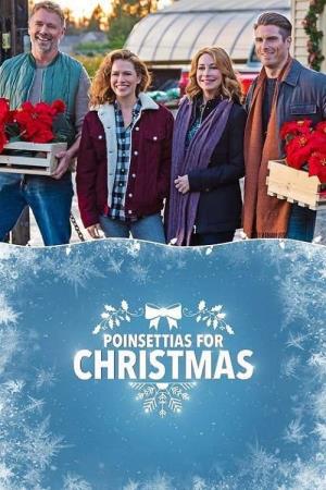 Natale tra le stelle's Poster
