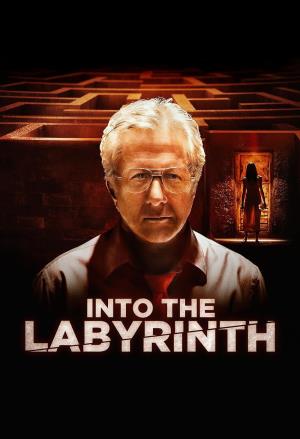 L'uomo del labirinto's Poster