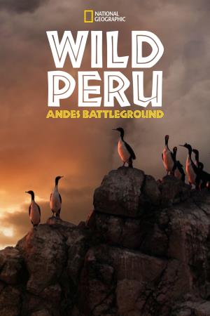 Wild Peru''s Poster