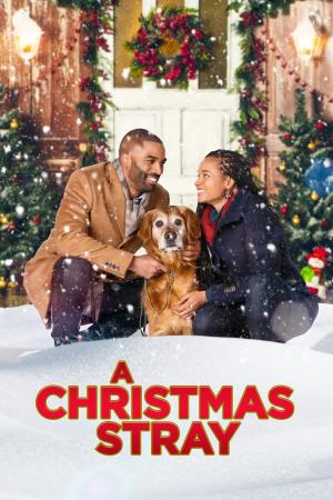 A Christmas Stray's Poster