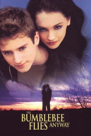 Un amore, una vita's Poster