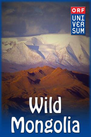 Wild Mongolia's Poster