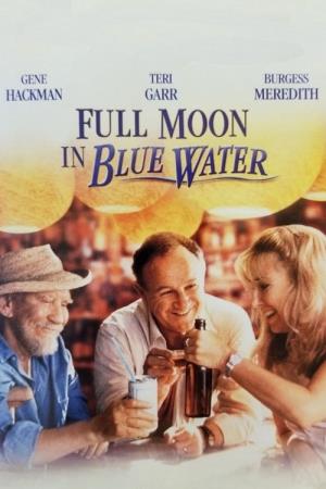Full Moon in Blue Water's Poster
