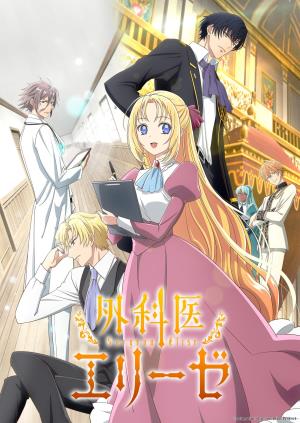 Doctor Elise: The Royal Lady with the Lamp's Poster