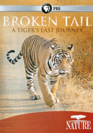 A Tiger's Journey's Poster