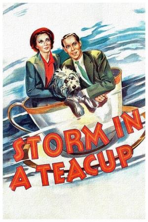 Storm in a Teacup's Poster