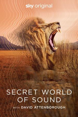 Secret World of Sound with David Attenborough's Poster