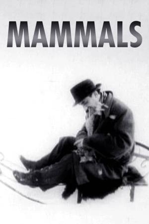Mammals's Poster