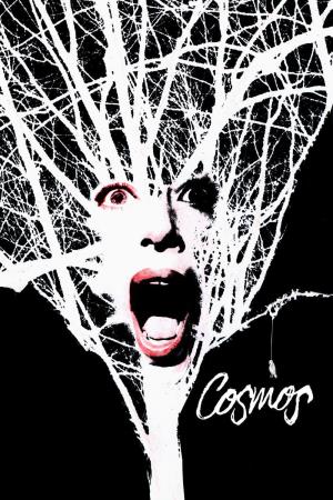 Cosmos's Poster