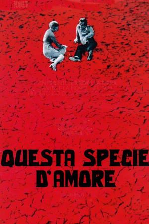 Questa specie d'amore's Poster