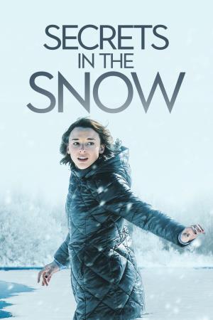 Secrets In The Snow's Poster