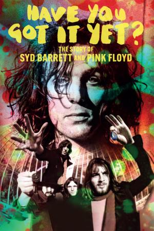 Pink Floyd Syd Barrett Have You Got I's Poster