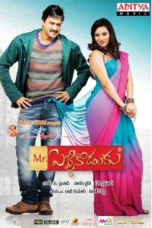 Mr. Pellikoduku's Poster