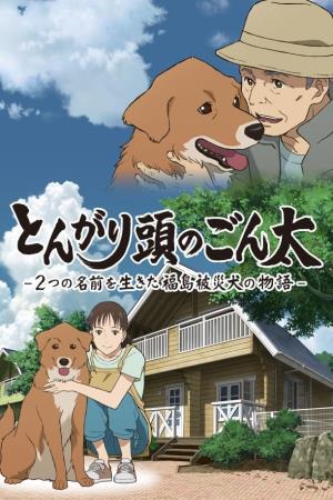 The Fukushima Disaster's Poster