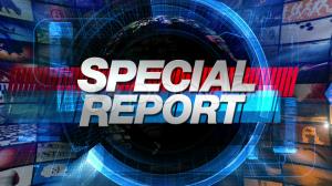 Special Report's Poster