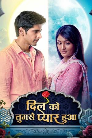 Dil Ko Tumse Pyaar Hua's Poster