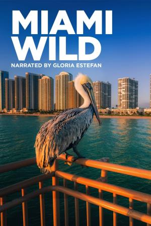 Miami Wild's Poster